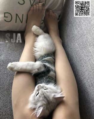 停尸间_BD英语免费观看超清