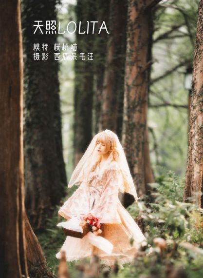 京香在线观看_国产剧电影完整版在线观看